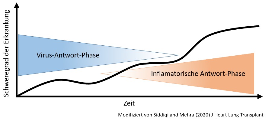 Therapeutika Gegen COVID-19 | Nationale Forschungsplattform Für Zoonosen